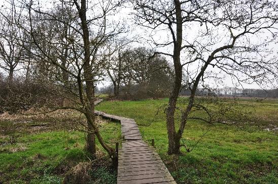 RD lopen en bij de picknickset LA aanhouden de blauwe paaltjes volgen. Einde van het pad LA blauwe paaltjes volgen, over de brug over het Oudemolensediep, gelijk RA.