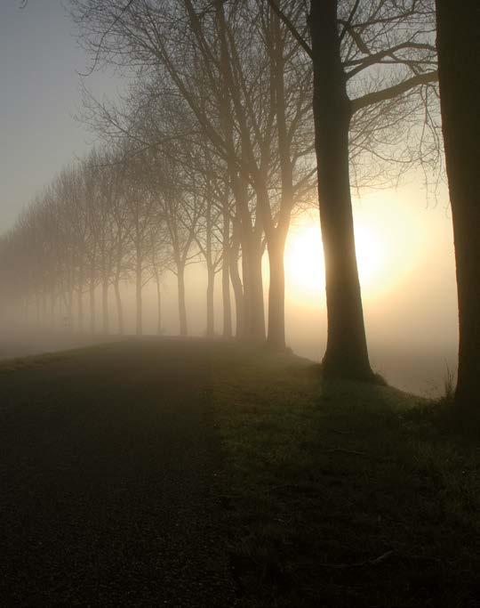 Creating living environments 22 De voordelen van nieuwbouw Stad of land? Kies voor beide! Ligt je hart bij de gezelligheid van de stad, maar verlangt je innerlijke natuur ook naar landelijk wonen?