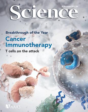 Overview Immunotherapy: Drugs and applications NSCLC PD-L1 immunohistochemistry Other biomarkers for