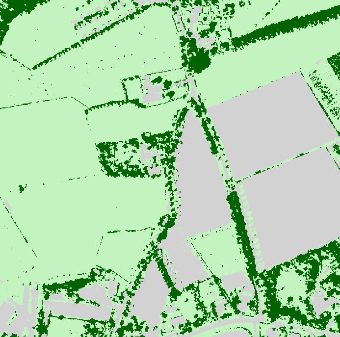 2 Opgaand groen langs perceelgrenzen Figuur 21 laat zien hoe de classificatie van opgaand groen langs perceelgrenzen is uitgevoerd.