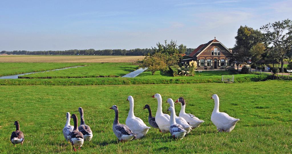 Nieuwsbrief Piekberging Haarlemmermeer Maart 2011 Wilt u meepraten over de piekberging? Tijdens de informatieavond hebben we gepeild wie graag wil deelnemen aan een klankbordgroep.