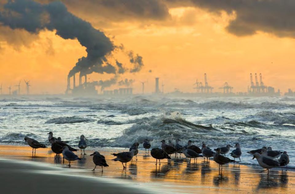 Foto Ruben Smit Meer uitstoot CO 2 en Mondiale Vermesting verzuring van de opwarming en vervuiling zee/oceaan
