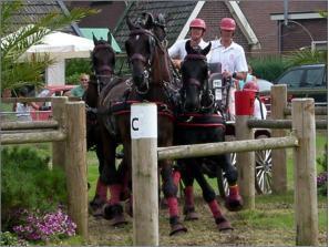 BEOEFENT U DRESSUUR, MENNEN OF NEEMT U DEEL AAN ANDERE PAARDENSPORT ACTIVITEITEN? DEEL UW SPORTRESULTATEN MEE VIA INFO@ZSAA.