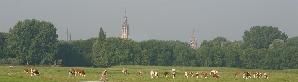 Het systeem voor de ontginning was simpel: haaks op een wal of een waterloop (de zogenaamde ontginningsas ) groef men evenwijdige sloten.