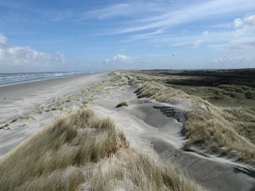 Figuur 12 Witte duinen (foto: B.