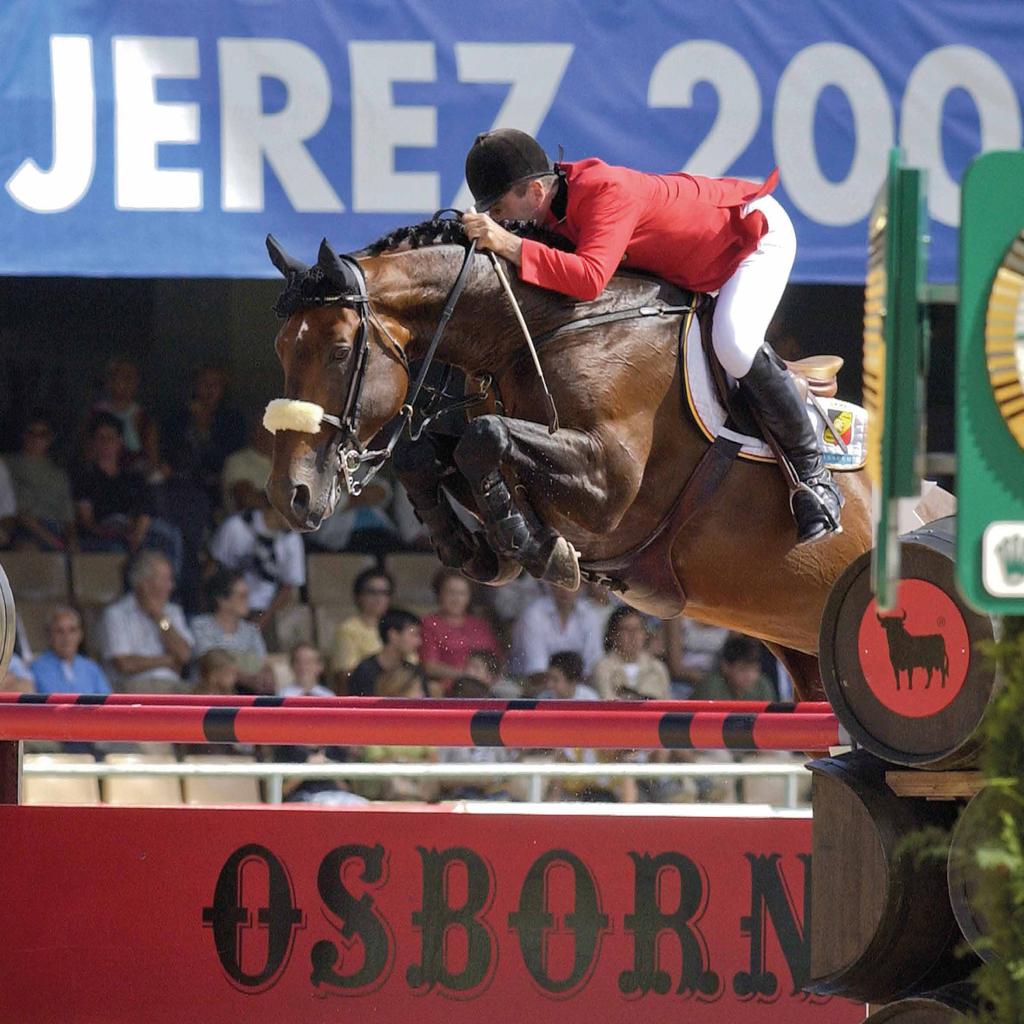 Al meer dan 8 jaar staat hij ononderbroken in de top 15 van de WBFSH Sire Ranking en nog altijd blijven er nieuwe internationale toppers en jonge goedgekeurde hengsten opduiken. Un cheval «de Rêve».