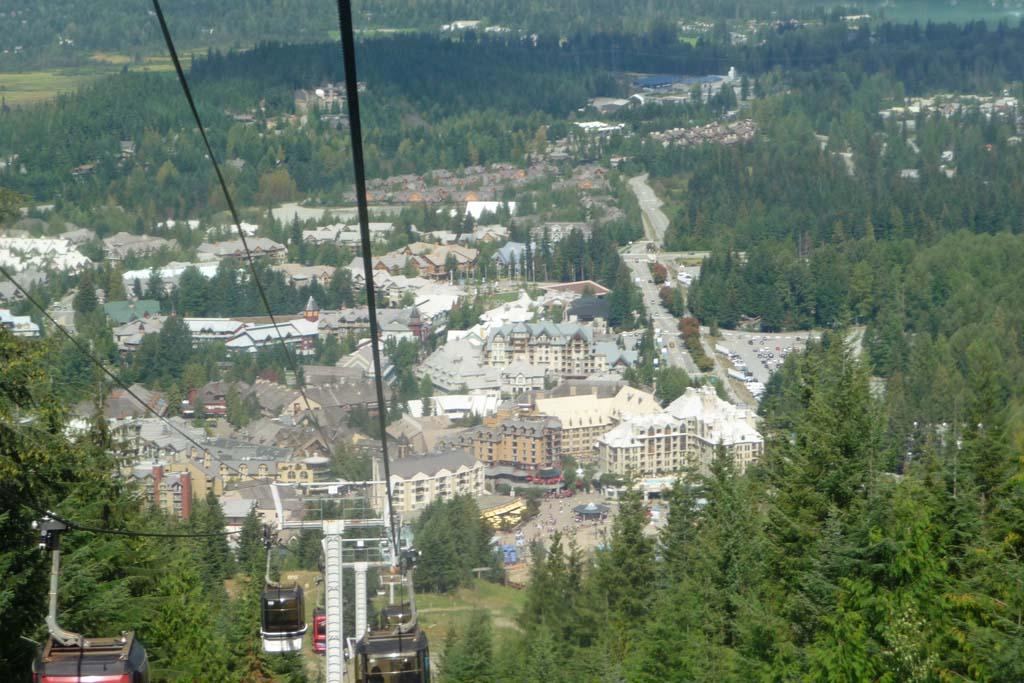 Whistler vanuit de kabelbaan Een beer! Wilde beesten hebben niet veel gezien.