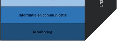 Figuur 4: INTOSAI COSO Framework Beknopt