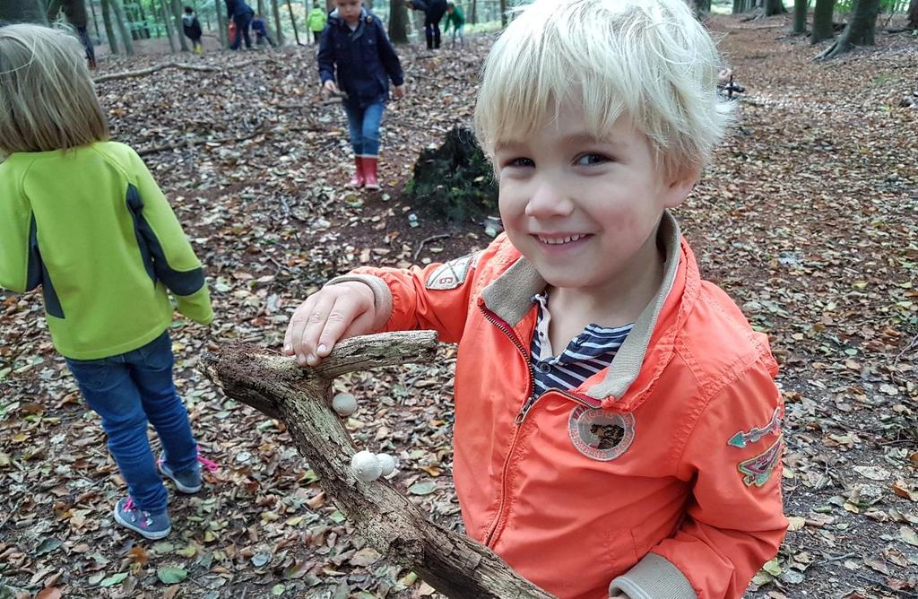 Leven paddenstoelen van dood hout? Reuze interessant toch?