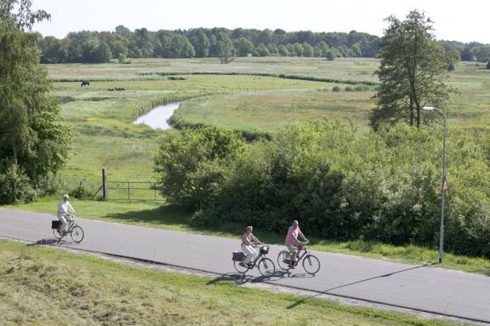 Landschappelijke identiteit Beperking regionale schade