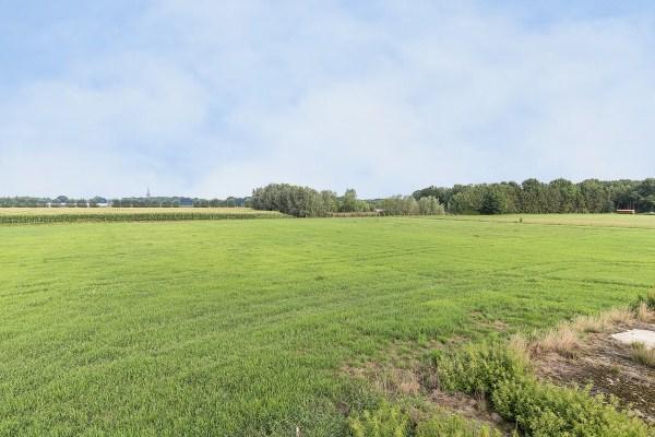 Cultuurgrond: Rondom de woonboerderij en de tuin is een