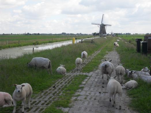 Het dorp Aarlanderveen bestond uit twee delen. Het ene deel, het eigenlijke dorp, was midden in de polder gelegen.