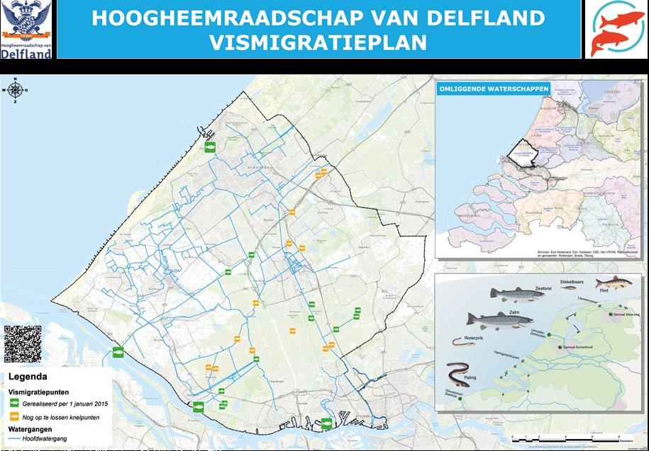 In het migratieplan van het Hoogheemraadschap is aangegeven welke vismigratiepunten moeten worden aangepakt. dan 15 centimeter. Wat erop duidt dat de meeste volwassen vissen wegzwemmen van het gemaal.