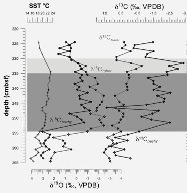 Francesca Sangiorgi (Paleo) 1 The following plot comes from the analysis of one core located in the open Eastern Mediterranean and containing sapropel S5 (~ 125,000 years BP) The sapropel