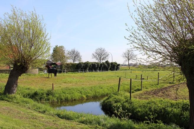 Vaak zal de verkopende makelaar aan belangstellenden vertellen dat hij, zoals dat heet, onder bod is. De makelaar zal geen mededeling doen over de hoogte van de biedingen.