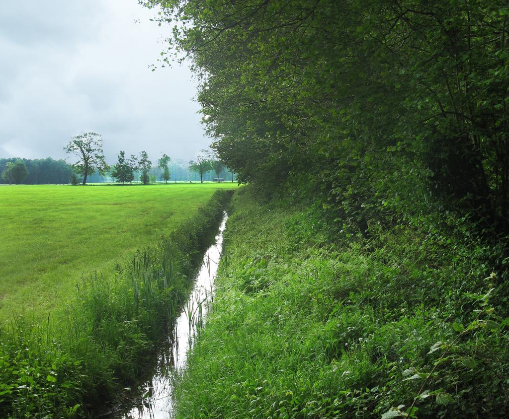 Kavelsloot Lange Wei, bovenloop van Vossenveldsebeek Inrichtingsplan voor natuur en effecten van maatregelen Ter voorbereiding van het opstellen van het natuurinrichtingsplan ronden we de komende