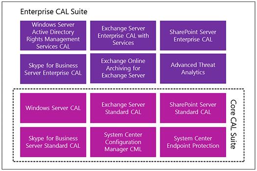Enterprise CAL Suite U heeft CALs nodig om medewerkers en leerlingen met hun apparaten toegang te geven tot een server of server-product.