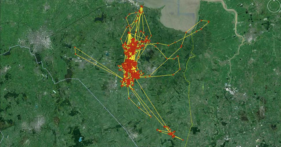 (2014) de home range groottes substantieel onderschatten, gezien het geringe aantal datapunten waarop hun berekeningen zijn gebaseerd.