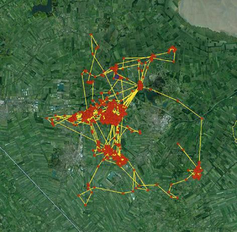 Granen werden toen relatief weinig gebruikt (28%). Pas rond 27 juli nam het gebruik van granen plotseling toe van 28 naar 68% (tweede periode van 12 tot 31 augustus).