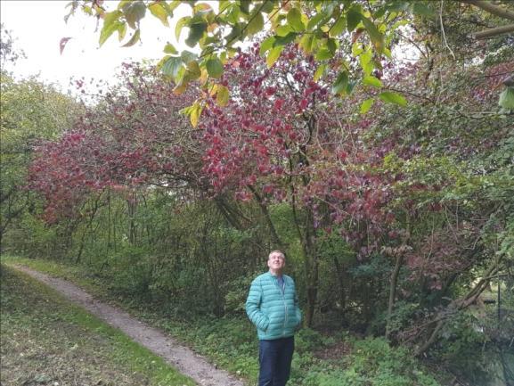 Het 3 ha grote heempark werd in 1977-78 door de Dienst Stadsbeheer aangelegd en maakt deel uit van het recreatiegebied Madestein (136 ha).