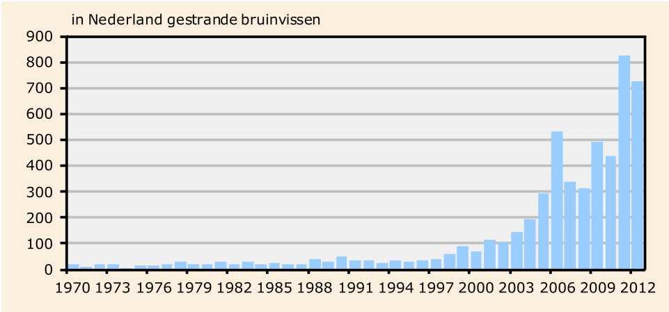 A B C Figuur 1 A. Trends in aantallen bruinvis geobserveerd vanaf de kust op het Nederlands Continentaal Plat (NCP) in 1990-2010) (bron: Camphuijsen 2011, met medewerking van Lutra). B. Strandingen van bruinvis vertonen een patroon wat gelijkvormig lijkt tot en met 2010 met de kustwaarnemingen.