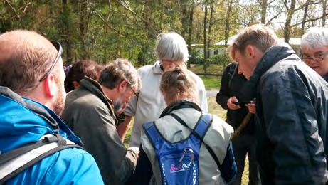 Opmerkelijk was dat het zeldzame Achttienvleklieveheersbeestje (figuur 2) als eerste soort, tijdens de start van de excursie op de parkeerplaats, werd aangetroffen en later die dag niet meer werd