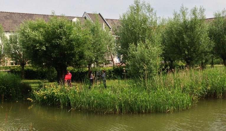 Op dit multifunctionele asfaltpad, duurzaam gekleurd met lijnzaadolie, kan geskeelerd, gespeeld, gewandeld, gefietst en uiteraard gelopen worden.