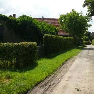 Omgevingskarakteristiek 1 Bestaande inpassing in het landschap Karakteristieke landschappelijke elementen in de directe omgeving betreffen met name de aanwezige hagen op perceelsgrenzen.