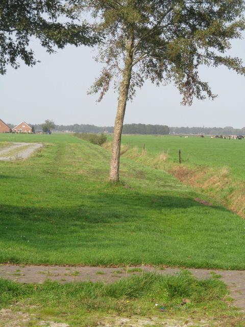 HENGELSPORTVERENIGING NIEUW -WEERDINGE De Wedstrijd en Algemene Ledenvergadering van Hengelsportvereniging Nieuw- Weerdinge zullen worden gehouden op Woensdag 22 november a.s. te Café DE Buurvrouw, voorheen Café De Harmonie/ Oosterhof.