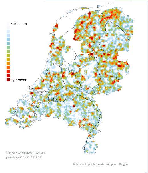 Afbeelding 29 Voorlopige dichtheden boerenzwaluwen (Vogelatlas SOVON, 2017) Landelijke verspreiding De boerenzwaluw is algemeen verspreid in Nederland en broedt voornamelijk aan de rand van stedelijk