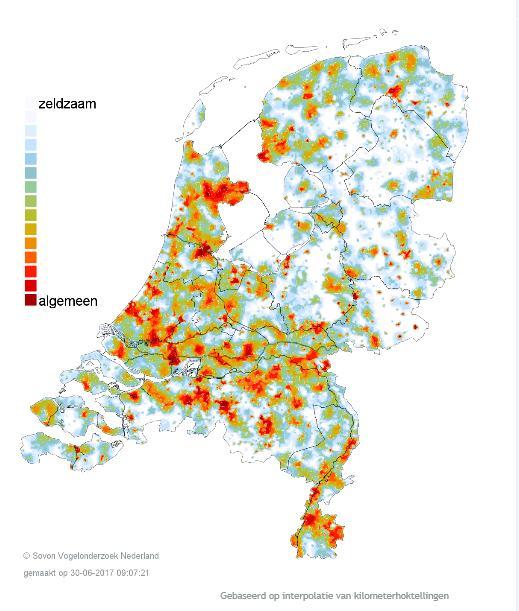Afbeelding 36 Voorlopige dichtheden gierzwaluwen (Vogelatlas SOVON, 2017) Landelijke verspreiding De gierzwaluw is relatief algemeen verspreid over geheel Nederland, en vooral te vinden in het