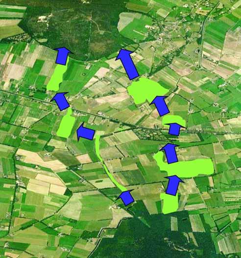 Ook worden de effecten van klimaatverandering op de ruimtelijke verdeling van vegetatie van ecosystemen in Nederland voorspeld.