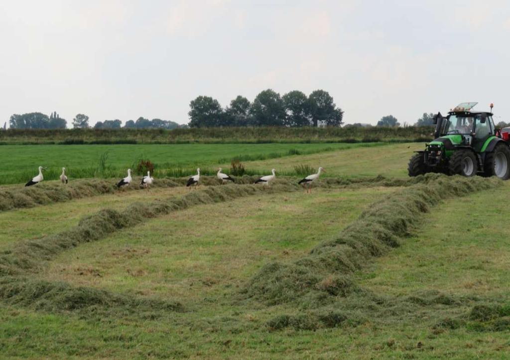 Het is belangrijk om zuinig op Midden-Delfland te zijn. Als we dat allemaal niet doen, dan zul je zien, over een kwart eeuw is het weg. Ik denk dat we dat niet moeten willen.