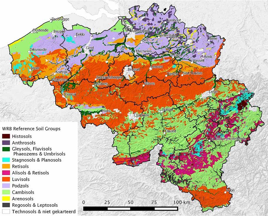 Figuur 4 De grote bodemgroepen (Reference Soil Groups) van België op basis van de bodemassociatiekaart van Marechal en Tavernier (1970; 1974) gië voorkomen.