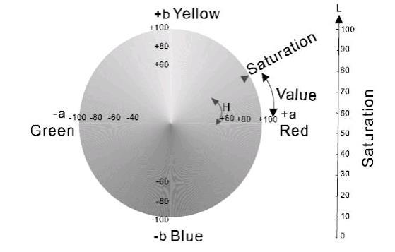 5 Theoretische informatie 5.1 Interpretatie van de meetwaarden Het CIELab meetapparaat PCE-TCR 200 meet het kleurverschil tussen een voorbeeldobject en een testobject.