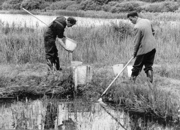 Karperkweek Vaassen voor WO II Eerst