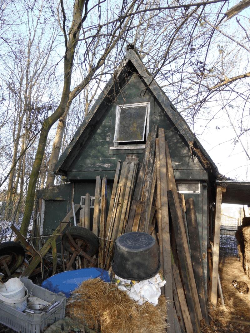 Tijdens het veldonderzoek is de aanwezige bebouwing onderzocht op plekken die door vleermuizen gebruikt zouden kunnen worden als winter- of zomerverblijf.