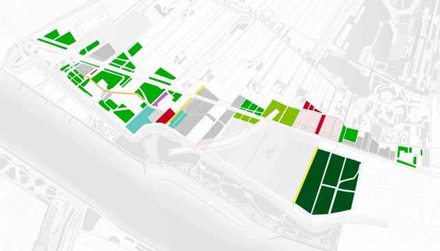 5.5 De boszone Langs het spoor wordt de samenhang tussen de rivier en de polder versterkt door de kavelrichting van de polder als uitgangspunt te nemen voor het maken van meer differentiatie en