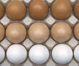 Versheid Een vers ei is op twee manieren te herkennen. In de schaal: leg het in een bakje water. Drijft het ei, dan is het oud (er is door verdamping lucht in het ei ontstaan).
