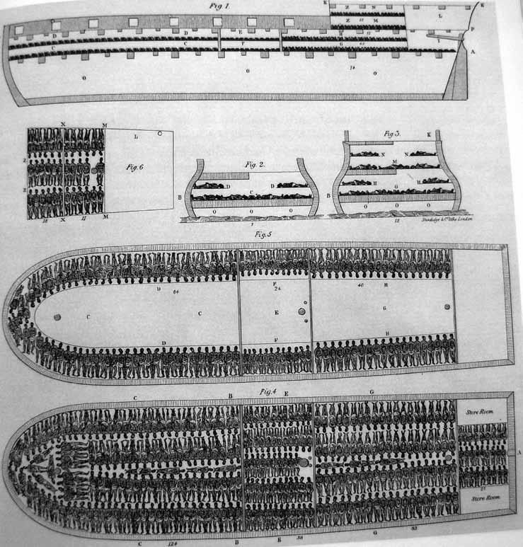 DEEL 2 Het slavenschip Het slavenschip Brooks. Figuur 1 toont een dwarsdoorsnede van het schip waarin te zien is hoe en waar de verblijfsruimten van de gevangenen waren.