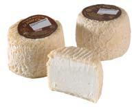 Chèvre Minichevrot Franse handgemaakte kaas van rauwe geselecteerde geitenmelk.