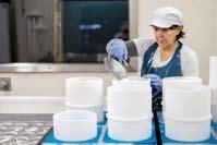 De kaasmakers zijn de vroegere eigenaars van Kaasmakerij Midgard (Werchter - België) en hebben meer dan dertig jaar