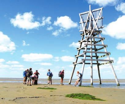 MEER DAN 50 JAAR WADLOOPCENTRUM Wadlopen werd in de jaren 60 en 70 als sportieve prestatie mateloos populair. Sindsdien namen wij al tienduizenden nieuwsgierige mensen mee op ontdekkingstocht.