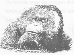 I. Apen hebben dezelfde zintuigen als mensen en kunnen ook net zo goed zien, horen en ruiken als wij. Zet achter de volgende beweringen of deze goed of fout zijn. Een orang oetan: 1.