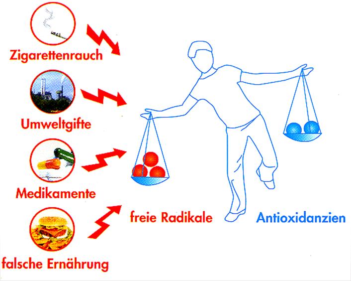 Oxidatieve stress Het gebrek in ons lichaam aan evenwicht tussen vrije radicalen en antioxidanten In principe wordt er in vrije radicalen een onderscheid gemaakt tussen endogene en exogene bronnen.
