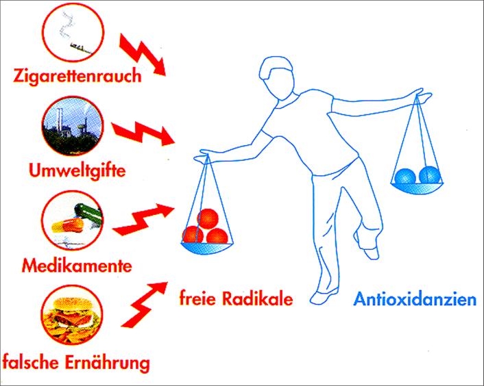 Exogene vrije radicalen zijn afkomstig uit onze omgeving, onze voeding, medicamenten en gevaarlijke genotmiddelen.