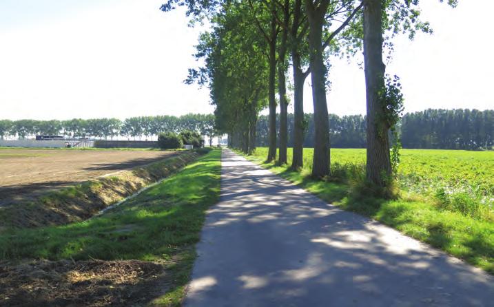 Ontsluiting De Oudelandsedijk vormt de belangrijkste doorgaande route in het gebied.