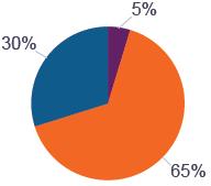 337 Non profit sector Bron: RSZ DMFA (Bewerking Departement WSE/Steunpunt WSE) In wat volgt bekijken we de demografische verschuivingen in de