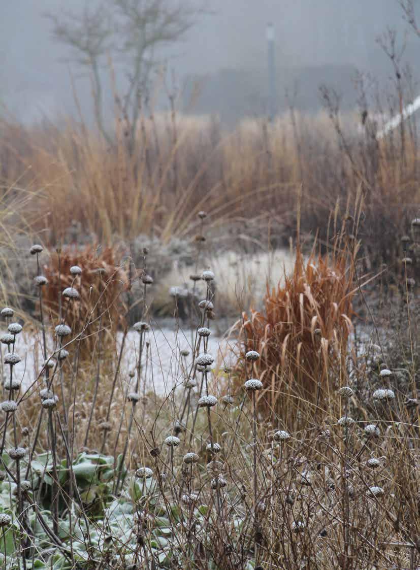 DAKBELASTING pakketopbouw Uitgangspunten 1) de berekende belasting op het dak is exclusief sneeuwbelasting, windbelasting, eigen gewicht dakconstructie, verandelijke belastingen (personen) en