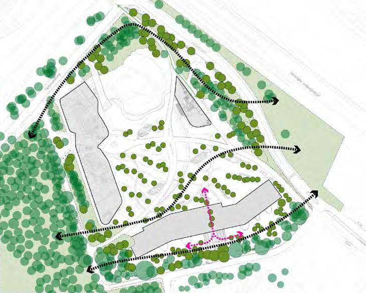 ECOLOGIE NIEUWE SITUATIE Ter behoud van de ecologische kwaliteit van de Kempkensberg zijn een tweetal zaken van belang: - De doorgaande vlieg-